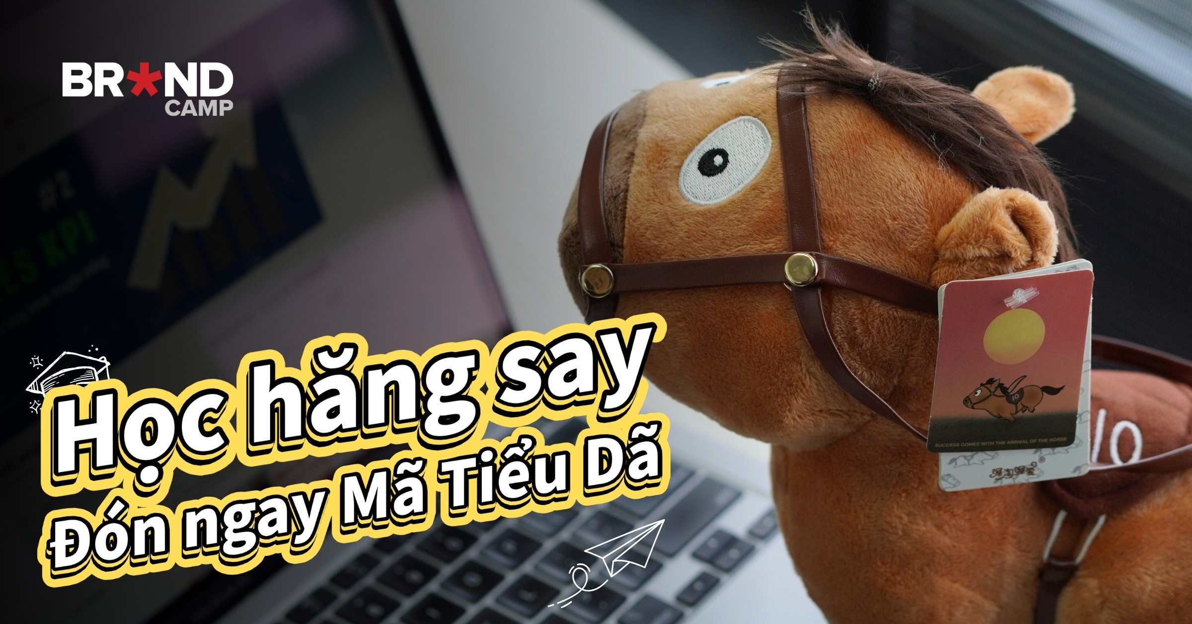Học hăng say, đón ngay Mã Tiểu Dã