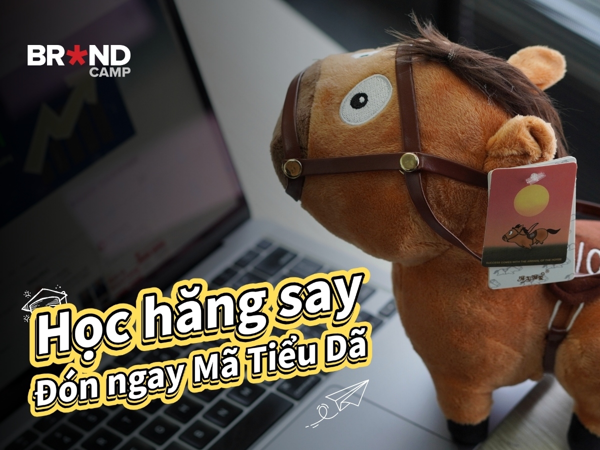 Học hăng say, đón ngay Mã Tiểu Dã