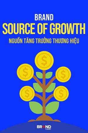 Brand Source of Growth: Nguồn Tăng trưởng Thương hiệu