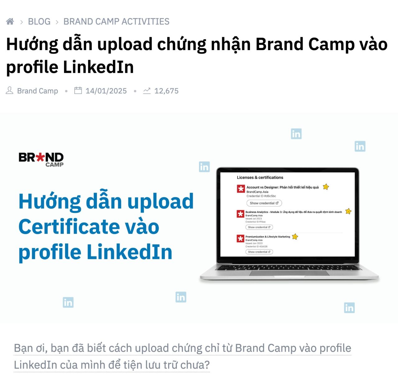 Hướng dẫn upload chứng chỉ Brand Camp là một dạng Content hướng dẫn