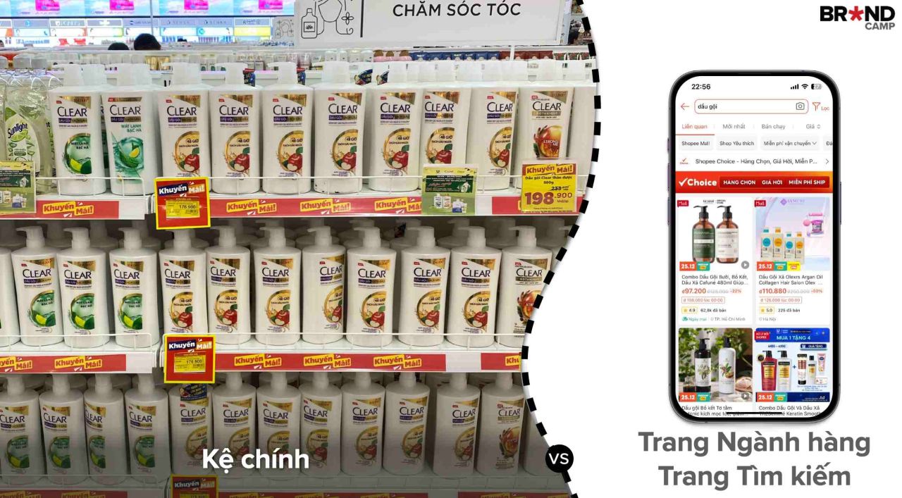 Kệ chính & Trang ngành hàng / Tìm kiếm