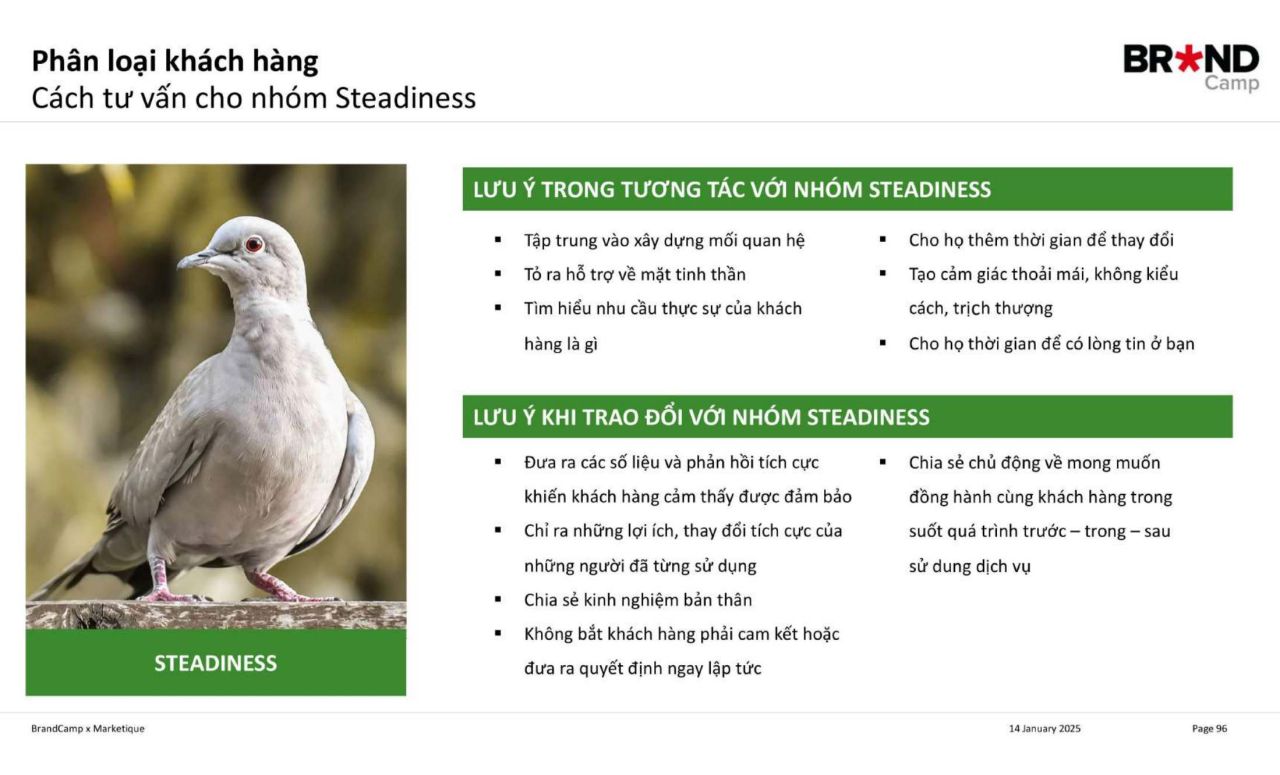 Cách tư vấn cho nhóm Bồ câu