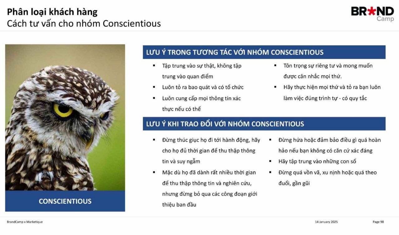 Cách tư vấn cho nhóm Cú mèo