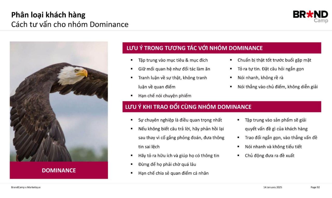 Cách tư vấn cho nhóm Đại bàng