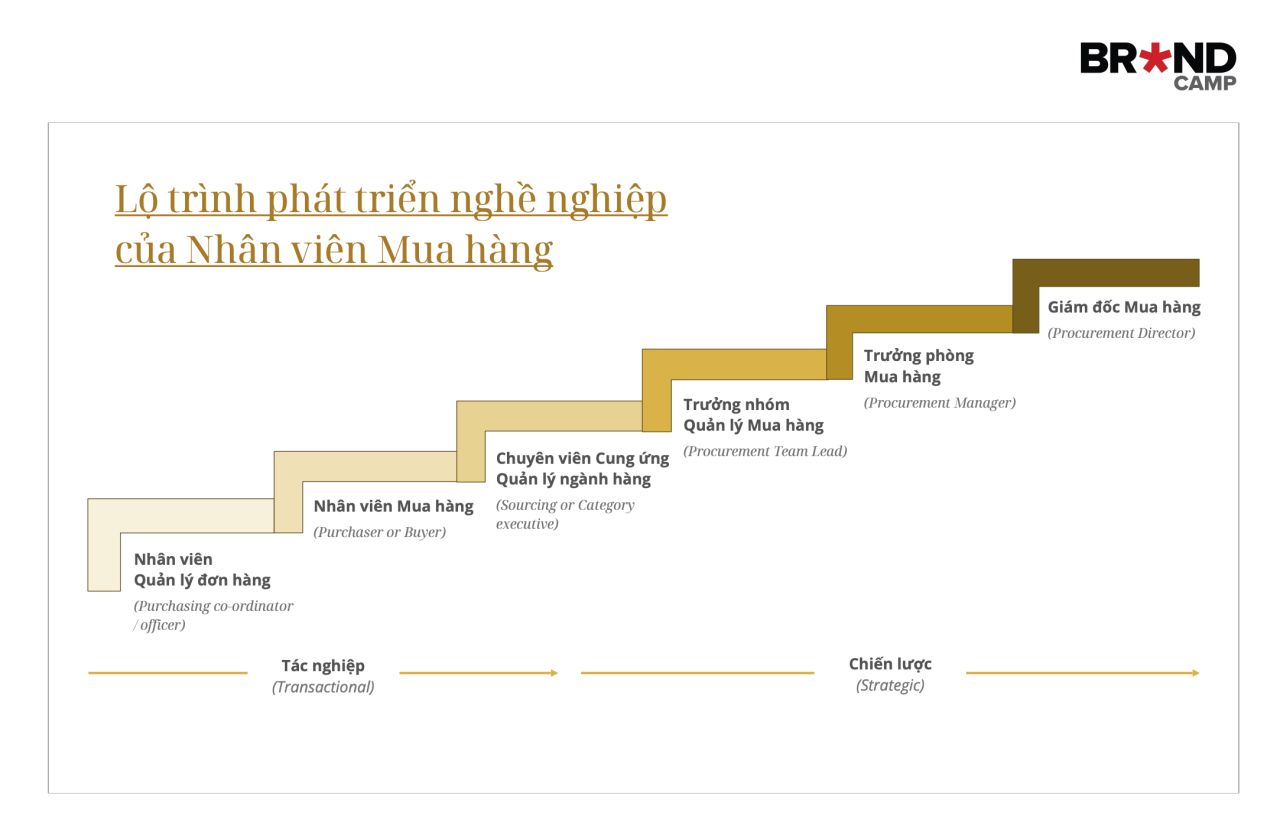 Lộ trình nghề nghiệp của nhân viên mua hàng
