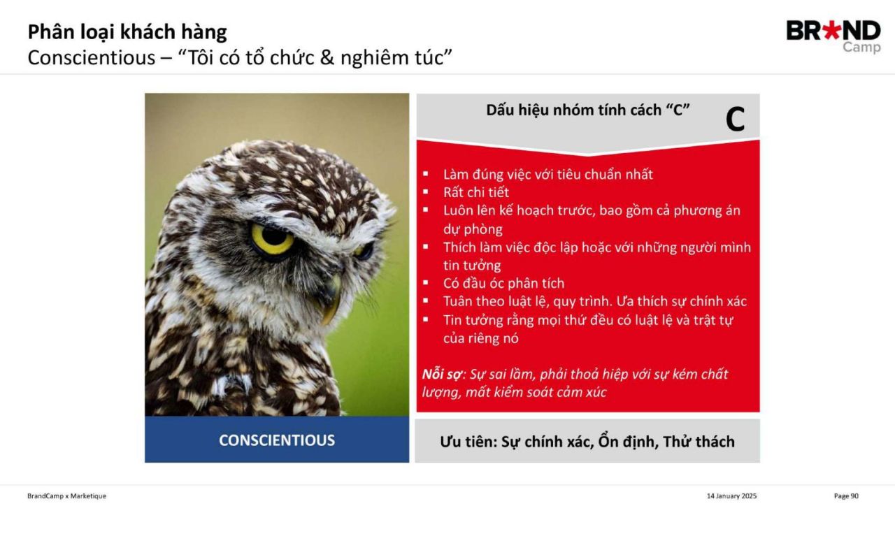 Conscientiousness (Tận tâm - Biểu tượng: Cú mèo)