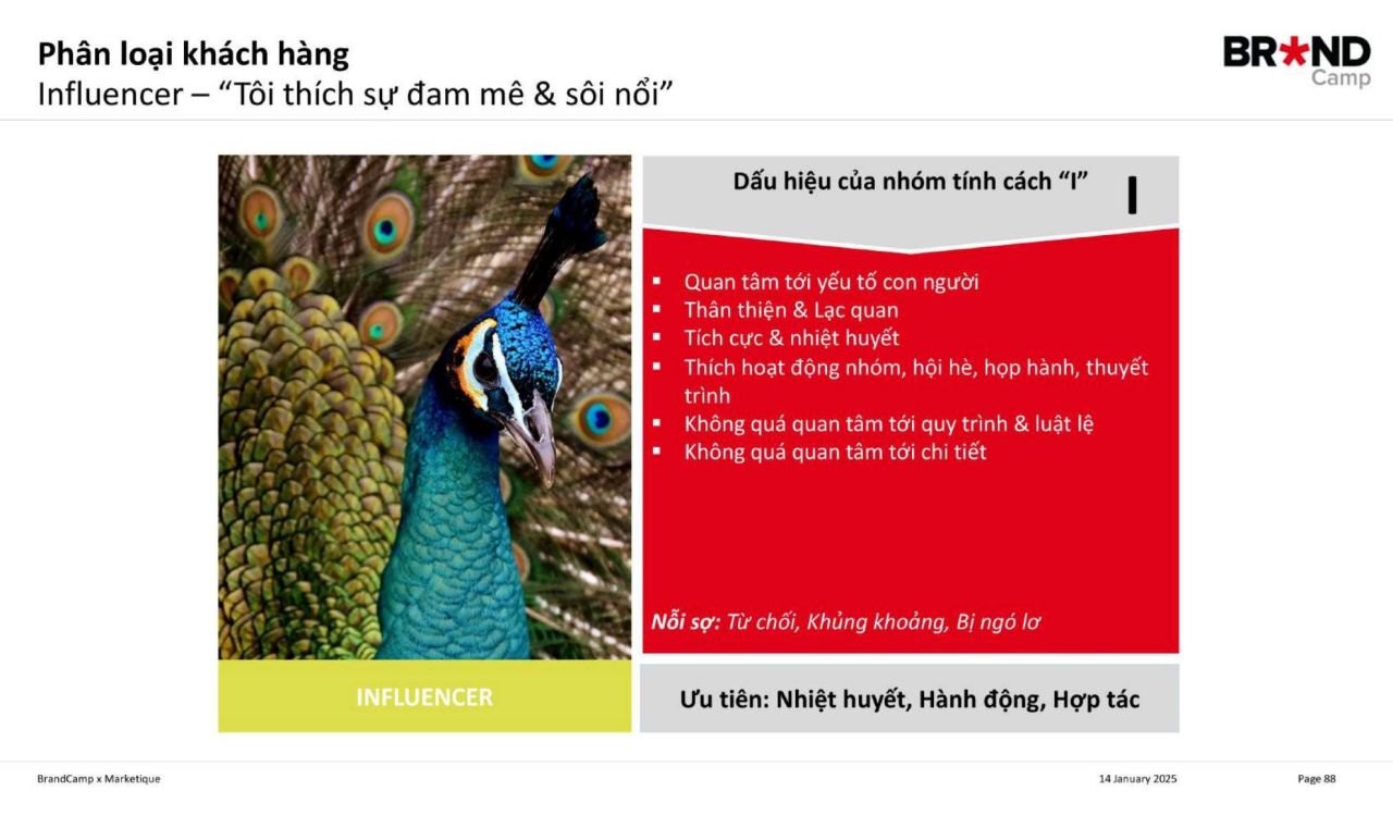 Influence (Ảnh hưởng - Biểu tượng: Chim công)