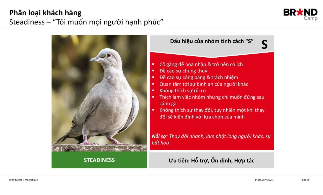Steadiness (Điềm tĩnh - Biểu tượng: Bồ câu)
