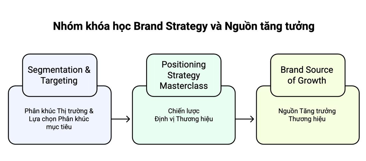 Nhóm khóa học Brand Strategy và Nguồn tăng trưởng